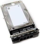 Купить Dell - Festplatte - 8 TB - Hot-Swap - 3.5" (8.9 cm) - SATA 6Gb/s - 7200 U/min (400-AHID) в магазине wardena.ru