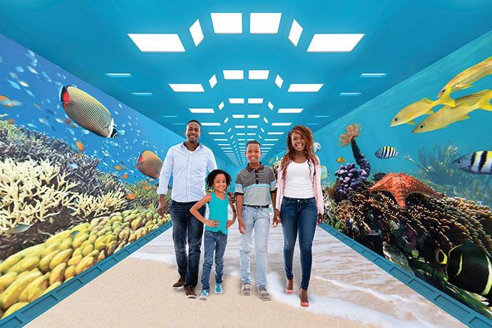 Купить Epson Objektiv ELPLX02S, für Epson EB-PU2xxx, Nur kompatibel mit EB-PU2xxx - Serie,, EB-L1750/55U, Farbe: schwarz, Inkl. Bohrungen zur Aufnahme externer Sensoren (V12H004X0B) в магазине wardena.ru