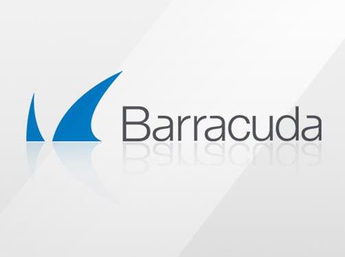 Купить Barracuda Networks BNGIF600A.C10-H 1 Lizenz(en) Erneuerung (BNGIF600A.C10-H-RW) в магазине wardena.ru