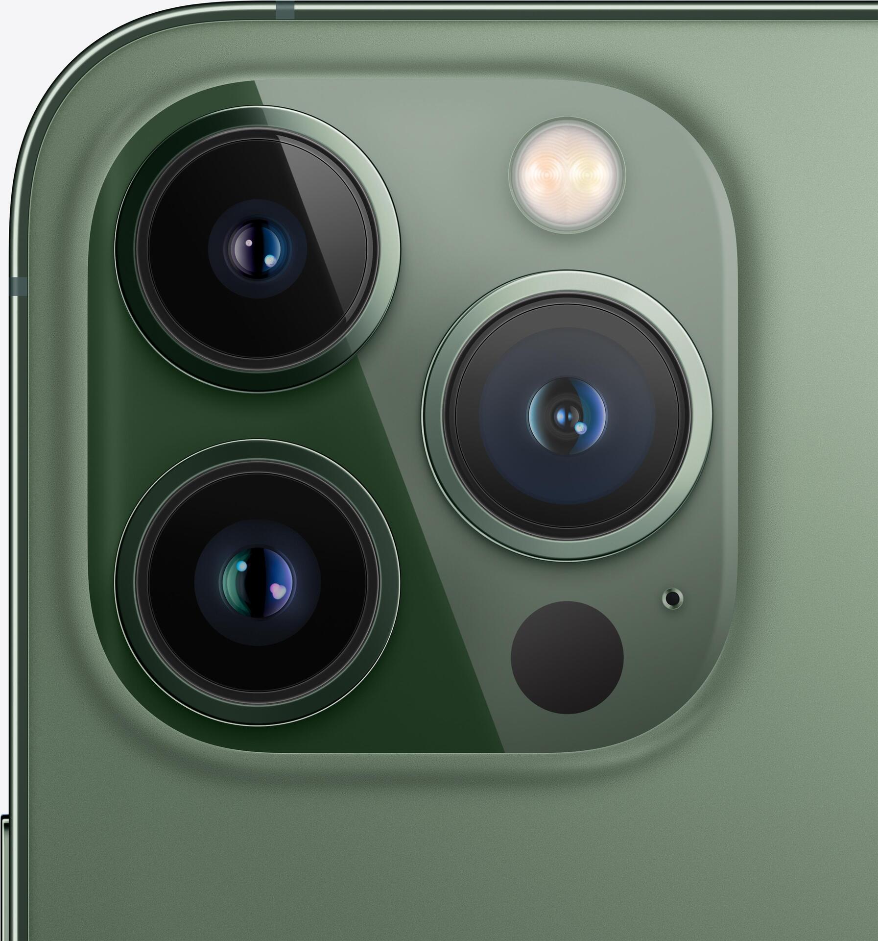 Купить Apple iPhone 13 Pro Max - 5G Smartphone - Dual-SIM - 1 TB - OLED-Display - 6.7" - 2778 x 1284 Pixel (120 Hz) - Triple-Kamera 12 MP, 12 MP, 12 MP - front camera 12 MP - Alpine Green (MND23ZD/A) в магазине wardena.ru
