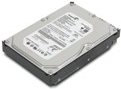 Купить Lenovo - Festplatte - 1TB - intern - 8,9 cm (3.5") - S-ATA2 - 7200 U/min - Puffer: 32MB - für ThinkCentre Edge 71, 91, ThinkCentre M70, M71, M80, M81, M91, ThinkStation C20, E30, E31 (45J7918) в магазине wardena.ru