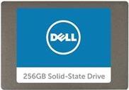 Купить Dell - SSD - 256 GB - intern - SATA - für Inspiron 15 5567, 17 5767, Latitude 7414, OptiPlex 30XX, 5480, 70XX, 90XX, Vostro 3710 (A9794105) в магазине wardena.ru