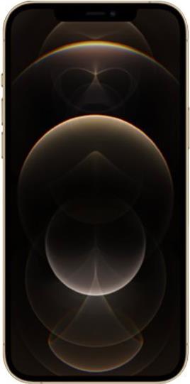 Купить Apple iPhone 12 Pro Max - 5G Smartphone - Dual-SIM / Interner Speicher 256 GB - OLED-Display - 6.7" - 2778 x 1284 Pixel - Triple-Kamera 12 MP, 12 MP, 12 MP - front camera 12 MP - Gold (MGDE3ZD/A) в магазине wardena.ru