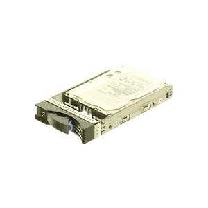 Купить IBM - Festplatte - 600 GB - Hot-Swap - 3.5" (8.9 cm) - SAS - 15000 U/min (49Y1870) в магазине wardena.ru