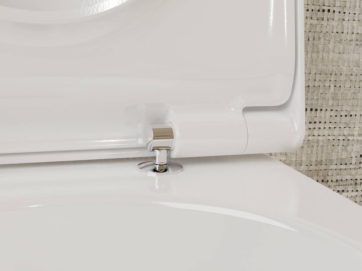 Купить Hansgrohe GladeLake S Сидение для унитаза с микролифтом с верхним креплением белый глянцевый 60112450 в магазине wardena.ru