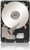 Купить Seagate Enterprise Capacity 3.5 HDD ST2000NM0023 - Festplatte - 2TB - intern - 8,9 cm (3.5") - SAS-2 - 7200 U/min - Puffer: 128MB (ST2000NM0023) в магазине wardena.ru