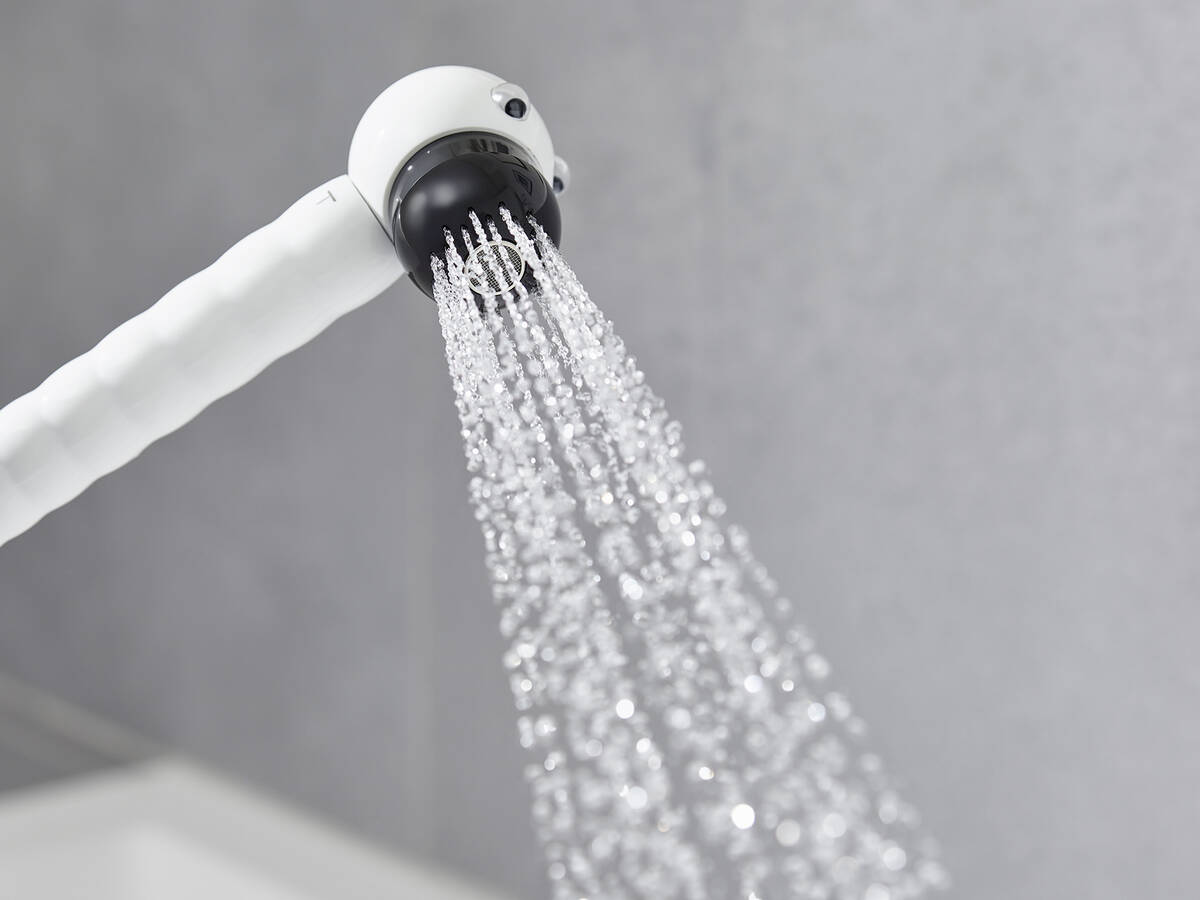 Купить Hansgrohe Jocolino Детский ручной душ Зебра 2jet белый матовый 28787640 в магазине wardena.ru