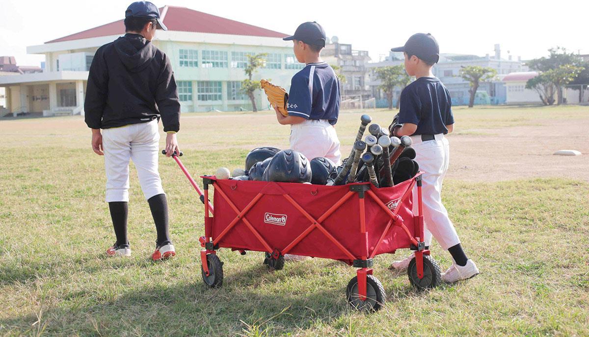 Купить Coleman 2000035214 Camping-Trolley Rot (2000035214) в магазине wardena.ru