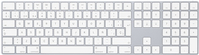 Купить Apple Magic Keyboard mit Ziffernblock - Tastatur - Bluetooth - Spanisch - Silber - für 10.2" iPad; 10.5" iPad Air; 10.9" iPad Air; 27,90cm (11") iPad Pro; iMac (MQ052Y/A) в магазине wardena.ru