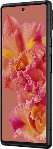 Купить Google Pixel 6 16,3 cm (6.4" ) Dual-SIM Android 12 5G USB Typ-C 8 GB 128 GB 4614 mAh Koralle (GA02920-GB) в магазине wardena.ru