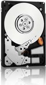 Купить Fujitsu Business Critical - Festplatte - 1TB - Hot-Swap - 8,9 cm (3.5") - SATA 6Gb/s - 7200 U/min - für PRIMERGY RX300 S8, RX350 S8, SX150 S8, SX350 S8, TX1330 M1, TX140 S2, TX2540 M1, TX300 S8 (S26361-F3670-L100) в магазине wardena.ru