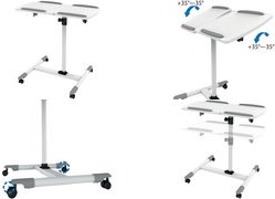 Купить LogiLink - Aufstellung - für Projektor / Notebook - MDF, Stahl, Melamin (BP0067) в магазине wardena.ru