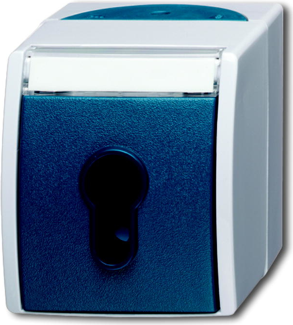 Купить BUSCH-JAEGER Schlüsselschalter 2733SLW-53 ocean 2733SLW-53 (1101-0-0917) (2CKA001101A0917) в магазине wardena.ru