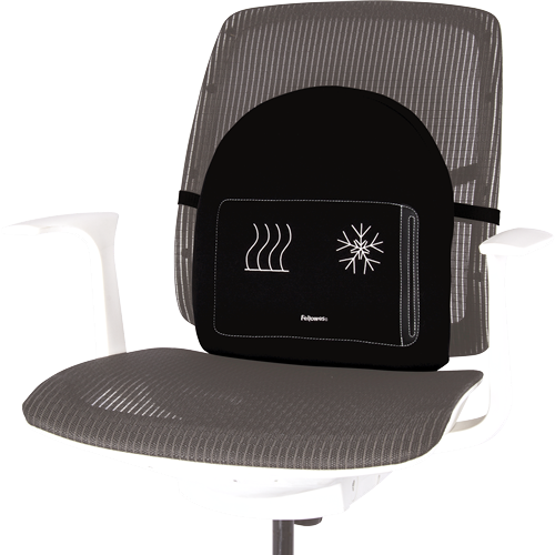 Купить Fellowes Professional Series Wärmende/Kühlende Rückenstütze (8041901) в магазине wardena.ru