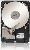 Купить Seagate Enterprise Capacity 3.5 HDD ST3000NM0033 - Festplatte - 3TB - intern - 8,9 cm (3.5") - SATA-600 - 7200 U/min - Puffer: 128MB (ST3000NM0033) в магазине wardena.ru