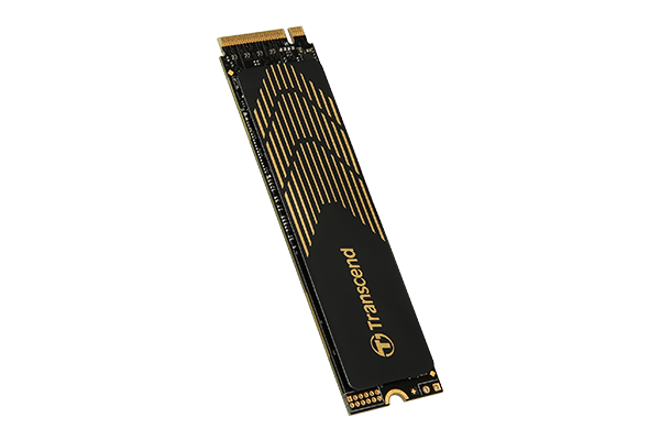 Купить Transcend 240S - SSD - 1 TB - intern - M.2 2280 (doppelseitig) - PCI Express 4.0 x4 (NVMe) (TS1TMTE240S) в магазине wardena.ru
