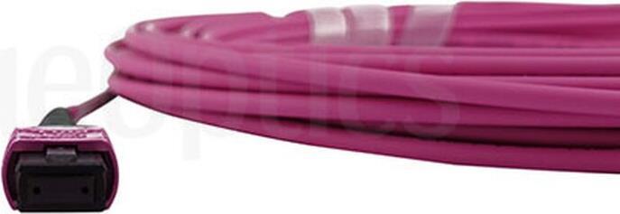 Купить Kompatibles Lenovo 7Z57A03571 BlueOptics LWL Trunkkabel, MPO/UPC zu MPO/UPC, 20 Meter, Multimode G50/125µm, OM4, Einfügedämpfung: unter 0.3dB, Markenfaser, 3.0mm LSZH magenta, 12 Kerne, Typ B, MPO Stecker ohne Pins, inkl (7Z57A03571-BO) в магазине wardena.ru