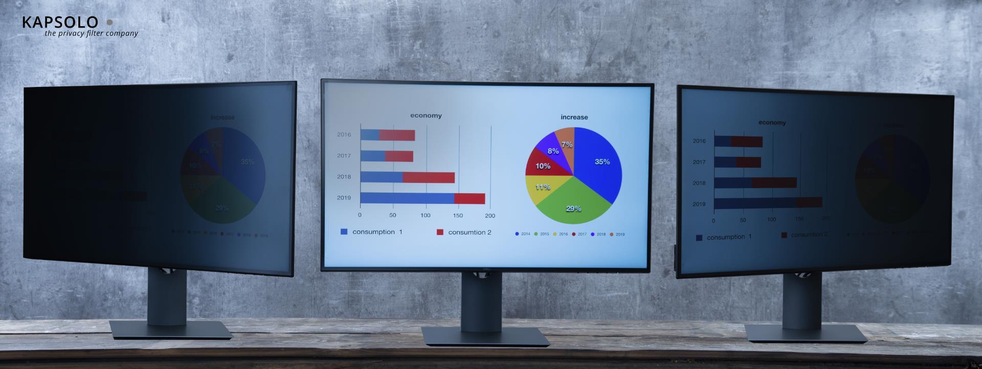 Купить KAPSOLO 2-wege Blickschutzfilter / Blickschutzfolie abnehmbar für 73,66cm (29") Wide 21:9 - Monitor - Rahmenloser Display-Privatsphärenfilter - Transparent - Privatsphäre - 21:9 - 30° (KAP11036) в магазине wardena.ru
