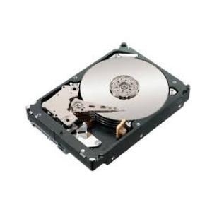 Купить Lenovo FRU81Y9671 300GB Interne Festplatte (FRU81Y9671) в магазине wardena.ru