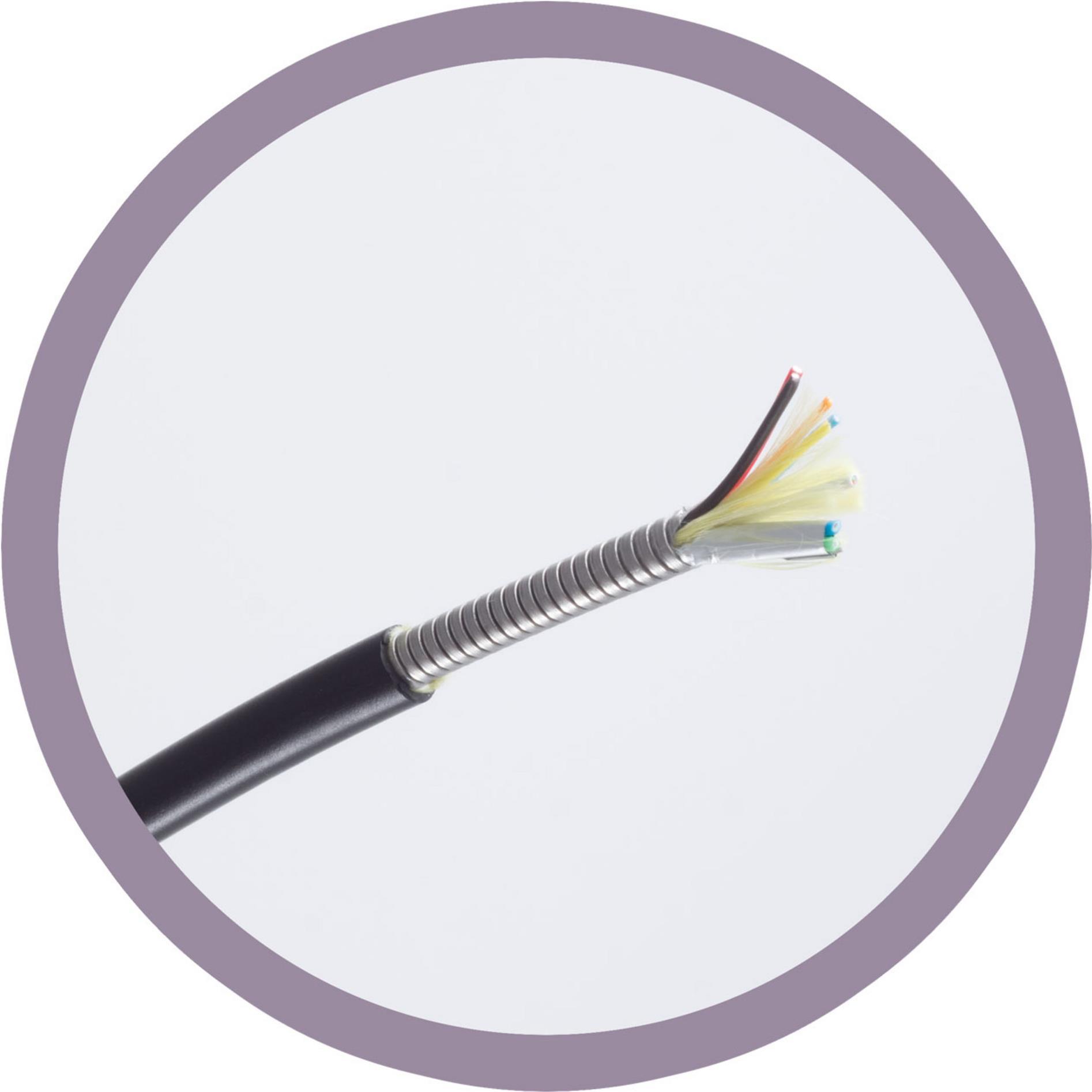 Купить shiverpeaks BASIC-S--HDMI Anschlußkabel-Optisches HDMI Trittfest Armored Kabel 4K 100.0m - Kabel - Digital/Display/Video HDMI-Kabel (BS30-041005) в магазине wardena.ru