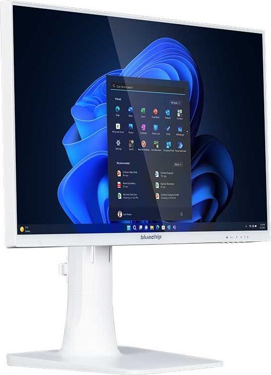 Купить bluechip BUSINESSline AIO2352ct white - 60,5 cm (23.8") - Full HD - Intel® Core™ i5 - 16 GB - 250 GB - Windows 11 Pro (556432) в магазине wardena.ru
