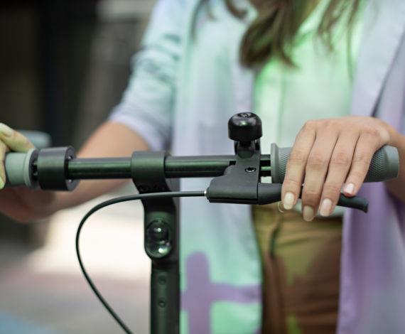 Купить Ninebot by Segway F20D Elektro-Kickroller 20 km/h Schwarz (3802-029) в магазине wardena.ru