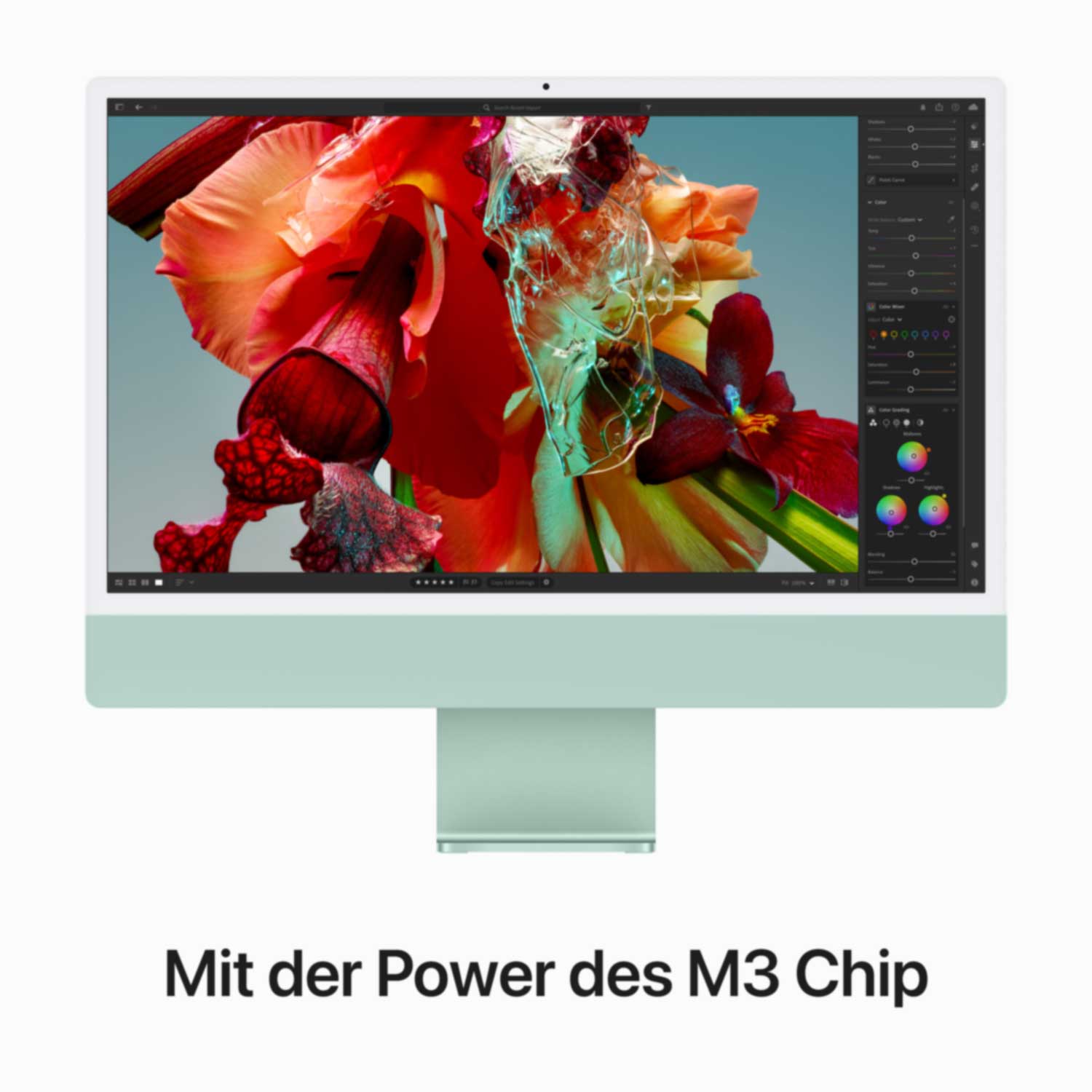 Купить Apple iMac 61cm(24‘‘) M3 10-Core 256GB grün (MQRN3D/A) в магазине wardena.ru