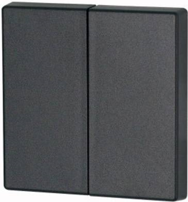 Купить Eaton CWIZ-02/04 - Wippe - Anthrazit - Kunststoff - IP20 - 55 mm - 55 mm (126049) в магазине wardena.ru