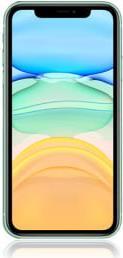 Купить Apple iPhone 11 - Smartphone - Dual-SIM - 4G Gigabit Class LTE - 64 GB - GSM - 6.1" - 1792 x 828 Pixel (326 ppi (Pixel pro" )) - Liquid Retina HD display (12 MP Vorderkamera) - 2 x Rückkamera - grün (MWLY2ZD/A) в магазине wardena.ru