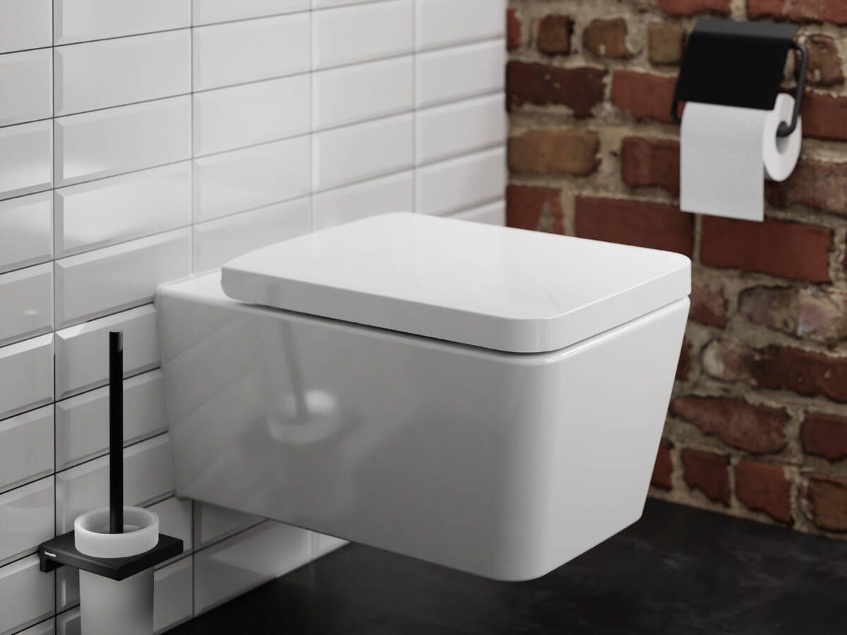Купить Hansgrohe EluPura Original Q Сидение для унитаза с микролифтом с верхним креплением белый глянцевый 60150450 в магазине wardena.ru