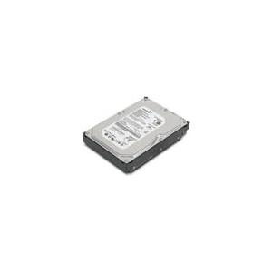 Купить Lenovo - Festplatte - 1TB - intern - 8,9 cm (3.5") - S-ATA2 - 7200 U/min - Puffer: 32MB - für ThinkCentre Edge 71, 91, ThinkCentre M70, M71, M80, M81, M91, ThinkStation C20, E30, E31 (45J7918) в магазине wardena.ru