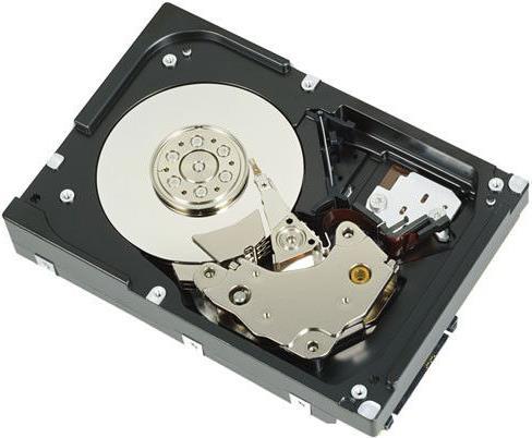 Купить DELL W125719630 Interne Festplatte 3.5"  450 GB SAS (W125719630) в магазине wardena.ru