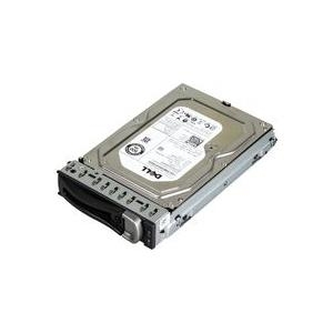 Купить Dell - Festplatte - 500 GB - 3.5" (8.9 cm) - 7200 U/min (1KWKJ) в магазине wardena.ru