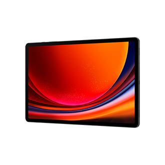 Купить Samsung Galaxy Tab S9+ SM-X816B 5G 512 GB 31,5 cm (12.4") Qualcomm Snapdragon 12 GB Wi-Fi 6 (802.11ax) Android 13 Graphit (SM-X816BZAEEUE) в магазине wardena.ru