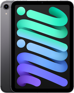 Купить Apple iPad mini Wi-Fi + Cellular - 6. Generation - Tablet - 256GB - 21,1 cm (8.3") IPS (2266 x 1488) - 3G, 4G, 5G - Space-grau (MK8F3FD/A) в магазине wardena.ru