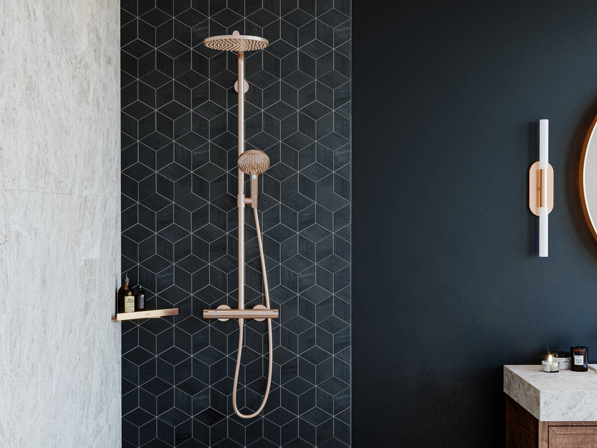 Купить Hansgrohe AddStoris Угловая корзинка бронза 41741140 в магазине wardena.ru