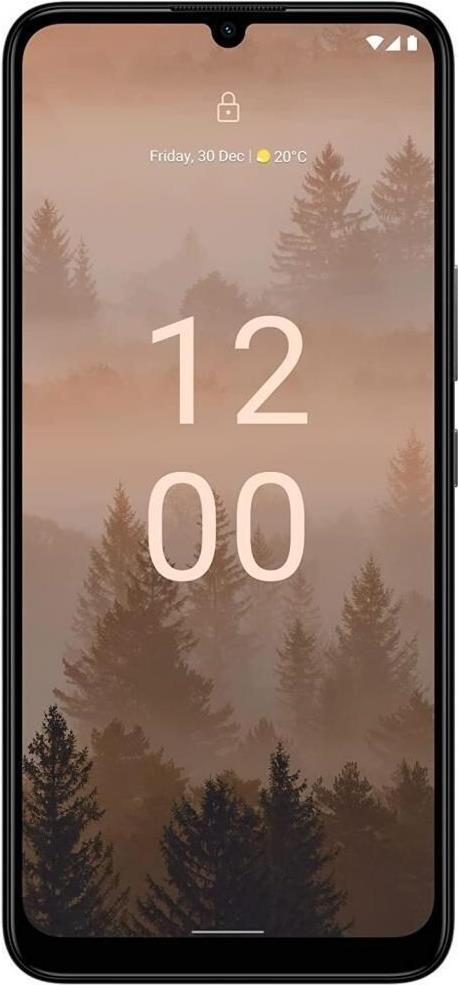 Купить Nokia C31 128GB, charcoal (EU) (719901214771) в магазине wardena.ru