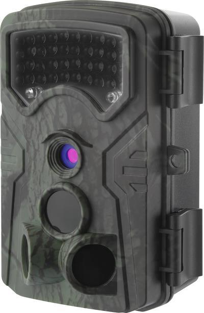 Купить Renkforce RF-HC-550 Wildkamera 48 Megapixel Low-Glow-LEDs Standard-Grün (seidenmatt) (RF-4601162) в магазине wardena.ru
