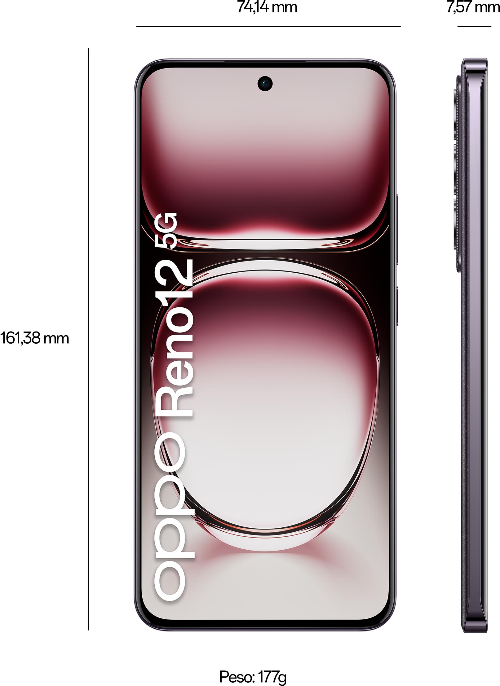 Купить OPPO Reno12 5G 17 cm (6.7") Dual-SIM Android 14 USB Typ-C 12 GB 256 GB 5000 mAh Schwarz (110010233902) в магазине wardena.ru