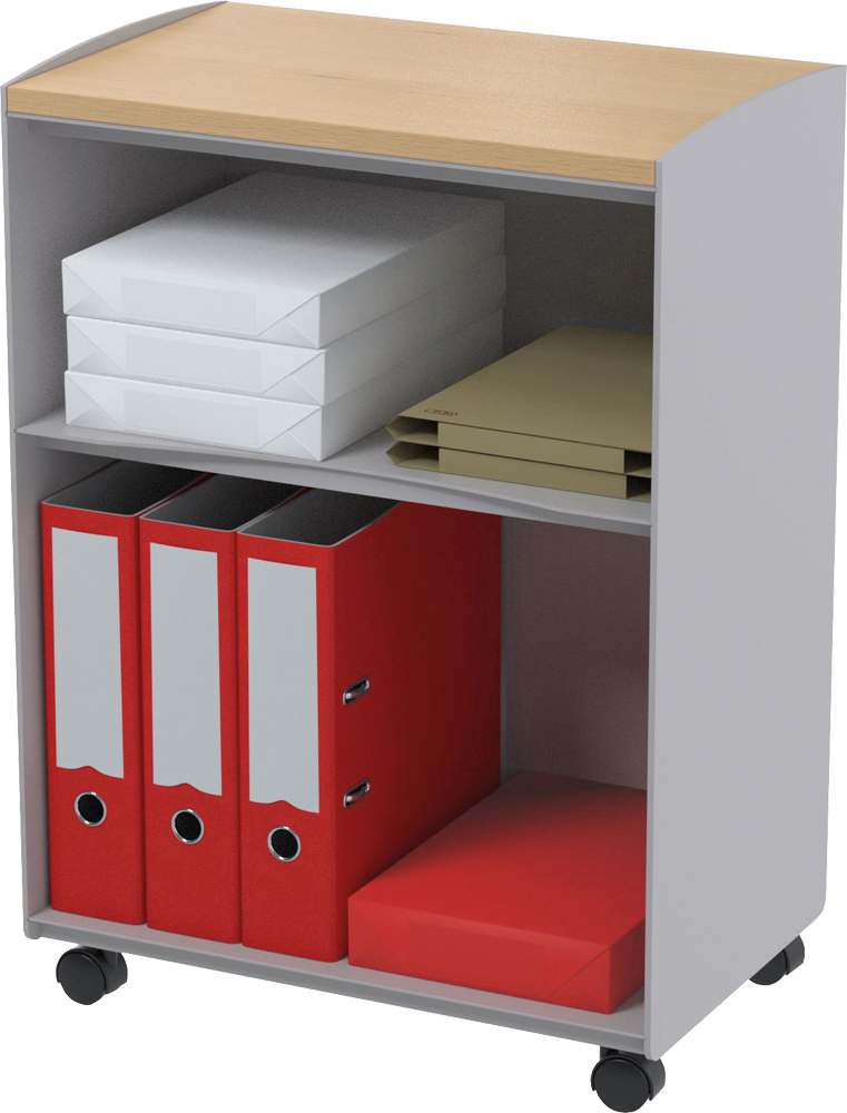 Купить PAPERFLOW Rollwagen DC02N.02.23 (DC02N.02.23) в магазине wardena.ru