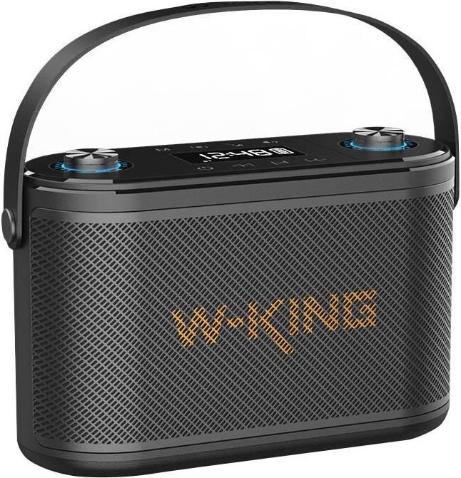 Купить W-KING H10 S 80W tragbarer Lautsprecher, Schwarz (H10 S black) в магазине wardena.ru