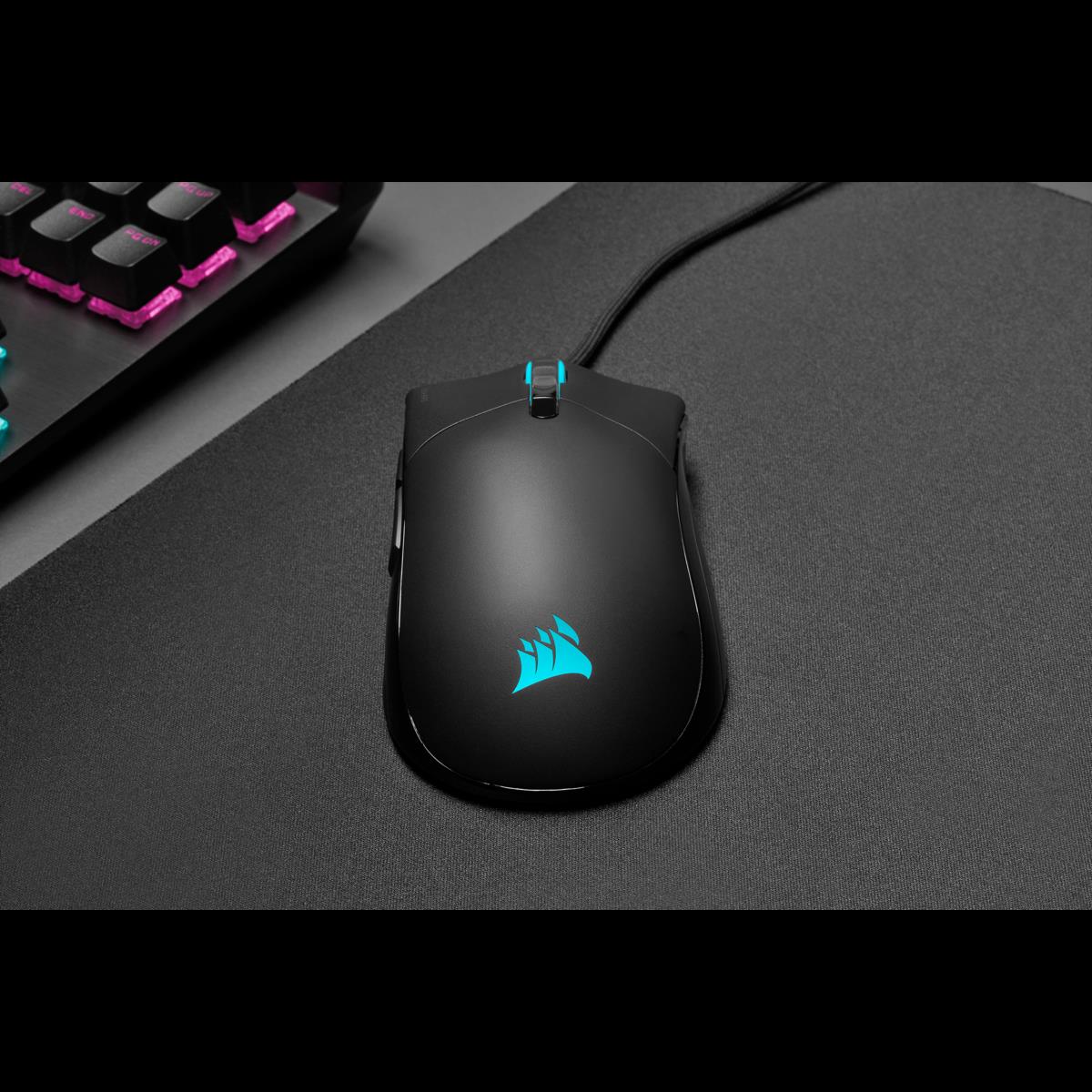 Купить CORSAIR Champion Series Sabre RGB Pro - Maus - optisch - 6 Tasten - kabelgebunden - USB (CH-9303111-EU) в магазине wardena.ru