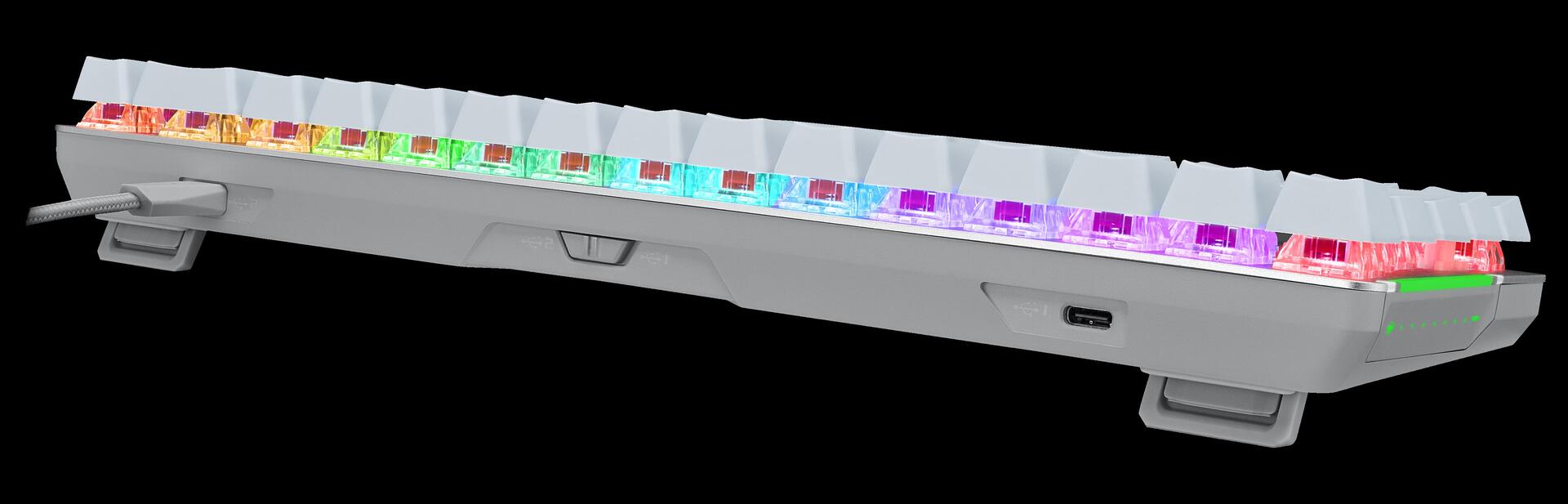 Купить ASUS ROG Falchion Ace WHT Tastatur USB QWERTZ Deutsch Weiß (90MP0346-BKDA11) в магазине wardena.ru