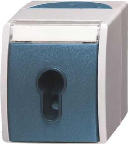 Купить BUSCH-JAEGER Schlüsselschalter 2733SLW-53 ocean 2733SLW-53 (1101-0-0917) (2CKA001101A0917) в магазине wardena.ru
