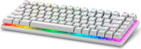 Купить Alienware Pro Wireless Gaming Keyboard Tastatur USB + RF Wireless + Bluetooth Weiß (PRO-KB-W-WW) в магазине wardena.ru