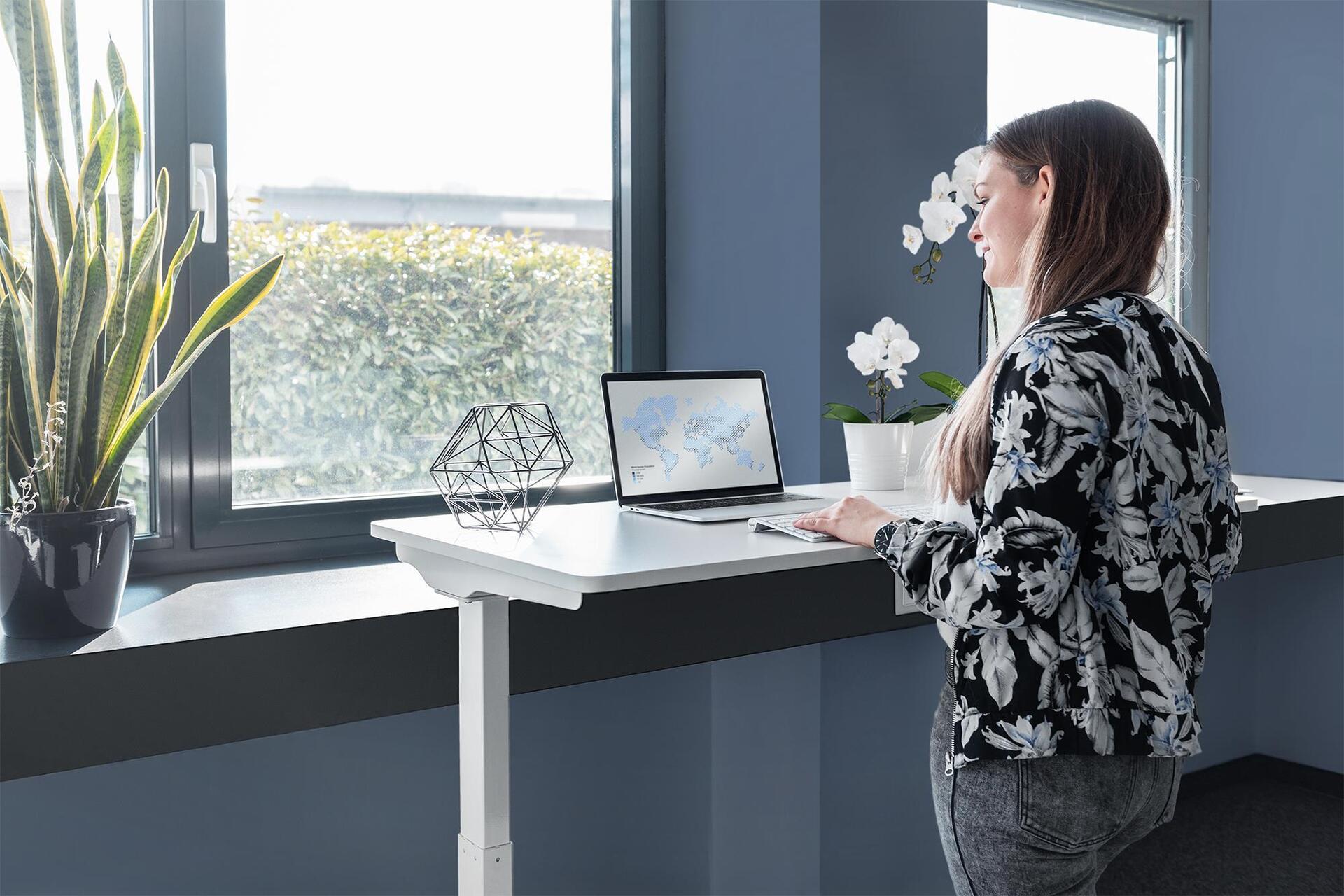 Купить Digitus Elektrisch höhenverstellbarer Schreibtisch - China - 73 cm - 123 cm - 1200 mm - 600 mm - 1230 mm (DA-90407) в магазине wardena.ru