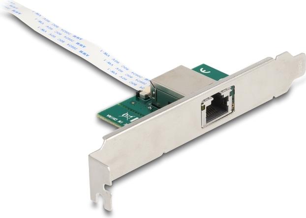 Купить Delock M.2 Key B+M 1 x RJ45 10 Gigabit LAN Netzwerkkarte (95274) в магазине wardena.ru