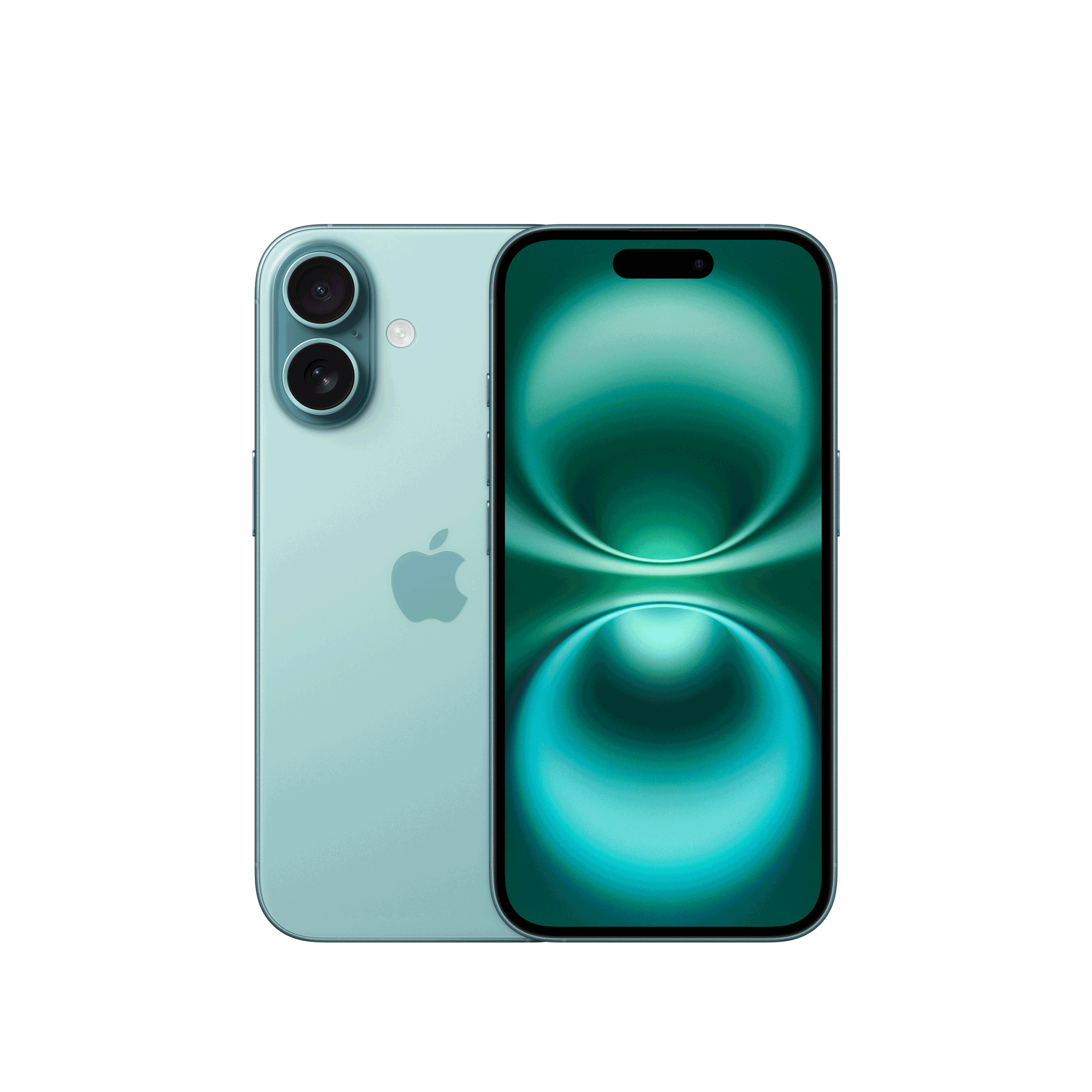 Купить Apple iPhone 16 512GB Teal (MYEU3ZD/A) в магазине wardena.ru