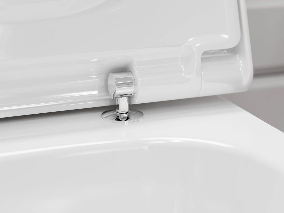 Купить Hansgrohe CreekTide Q Сидение для унитаза с микролифтом с верхним креплением белый глянцевый 60126450 в магазине wardena.ru