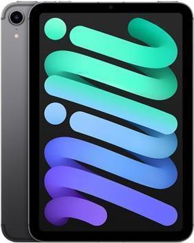 Купить Apple iPad mini Wi-Fi + Cellular - 6. Generation - Tablet - 64GB - 21,1 cm (8.3") IPS (2266 x 1488) - 3G, 4G, 5G - Space-grau (MK893FD/A) в магазине wardena.ru
